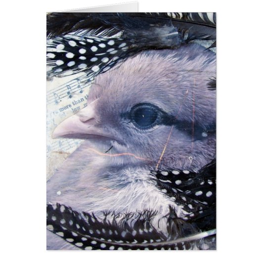 Chick gemengde media collage (Voorkant)