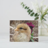 Chick in Pansy Garden Briefkaart (Staand voorkant)