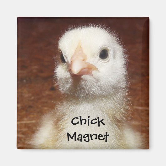 Chick Magnet - Leuke Chick Foto Magneet (Voorkant)