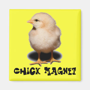Chick Magnet Magneet