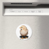 Chick Magnet Magneet (Insitu (Vaatwasser))