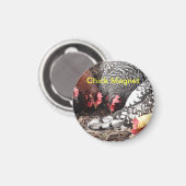 Chick Magnet - un groupe de poules colorées (Recto/Verso)