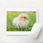 Chick Muismat (Met muis)