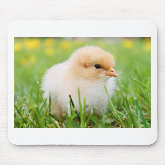 Chick Muismat (Voorkant)