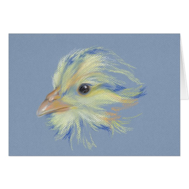 Chick Plymouth Barred Rock (Voorkant Horizontaal)