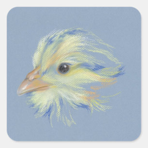 Chick Plymouth Barred Rock Vierkante Sticker
