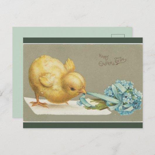Chick Pulling Flowers Pasen Briefkaart (Voorkant / Achterkant)