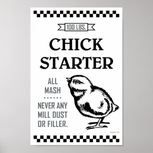 CHICK STARTER POSTER