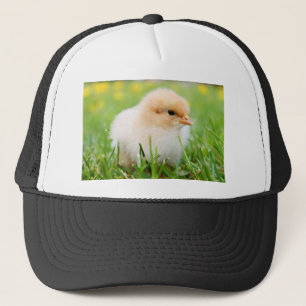 Chick Trucker Pet