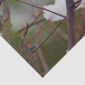 Chickadee 6259 Weefselpapier Tissuepapier (Detail)