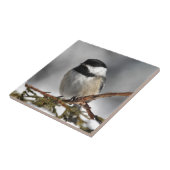 Chickadee_9478 Tegeltje (Zijkant)