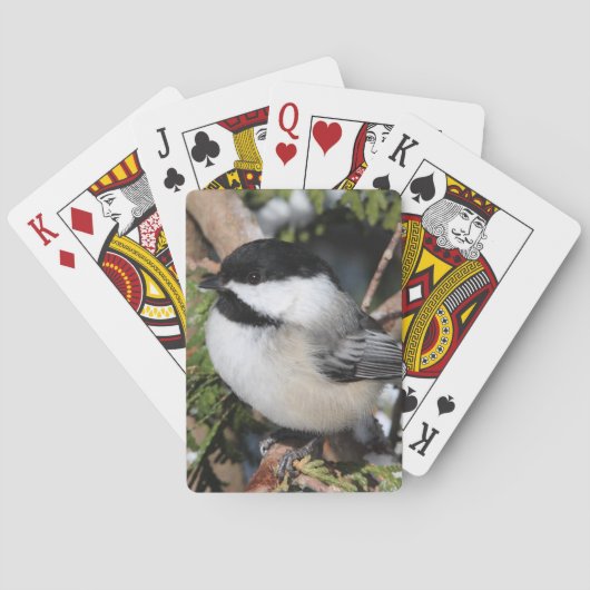 Chickadee_9530 Pokerkaarten (Achterkant)