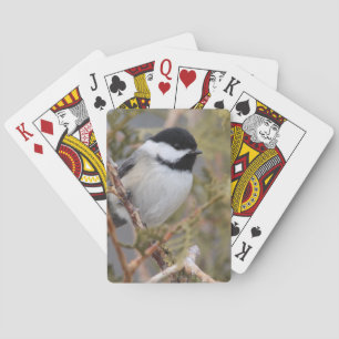 Chickadee_9654 Pokerkaarten