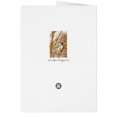 Chickadee au plafond noir - Photo originale (Dos)