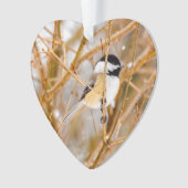 Chickadee au plafond noir - Photo originale (devant)