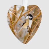 Chickadee au plafond noir - Photo originale (devant)