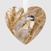 Chickadee au plafond noir - Photo originale (dos)