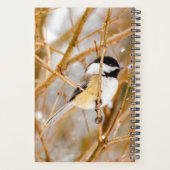 Chickadee au plafond noir - Photo originale (Dos)