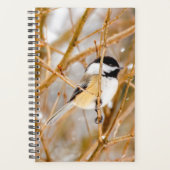 Chickadee au plafond noir - Photo originale (Devant)