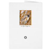 Chickadee au plafond noir - Photo originale (Dos)