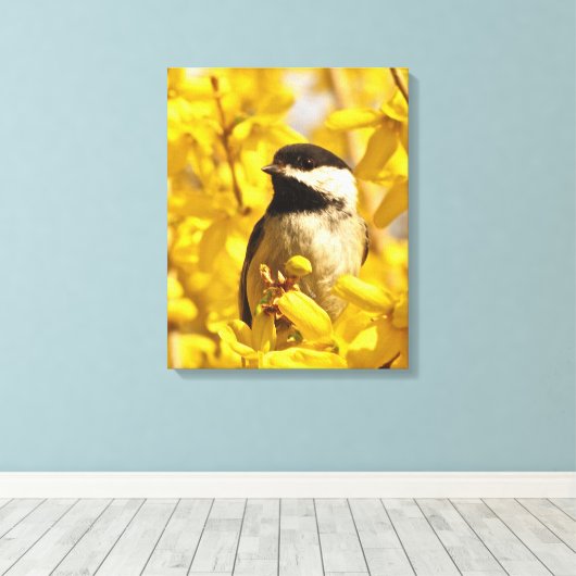 Chickadee Bird in Forsythia Flowers Canvas Print (Insitu (Houten vloer))