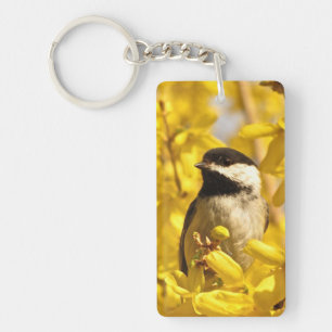 Chickadee Bird in Yellow Flowers AcrylSleutelhange Sleutelhanger