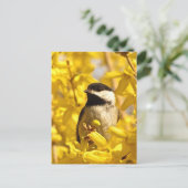 Chickadee Bird in Yellow Flowers Briefkaart (Staand voorkant)