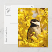 Chickadee Bird in Yellow Flowers Briefkaart (Voorkant / Achterkant)