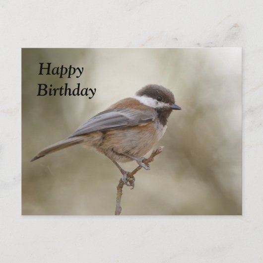 Chickadee Birthday Kaart (Voorkant)