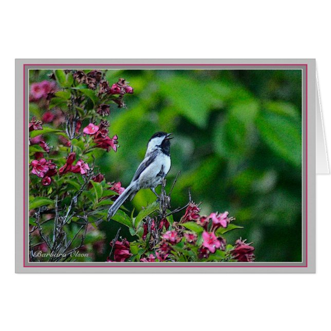 Chickadee Blackcee (Devant horizontal)