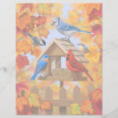 Chickadee Bluebird Cardinaal Jay Autumn Bird Feede (Achterkant)