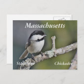 Chickadee Briefkaart (Voorkant / Achterkant)