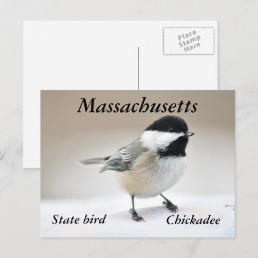 Chickadee Briefkaart (Voorkant / Achterkant)