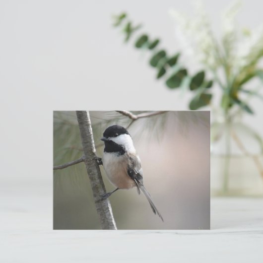 Chickadee Briefkaart (Staand voorkant)