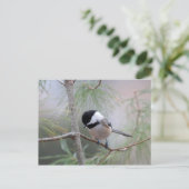 Chickadee Briefkaart (Staand voorkant)