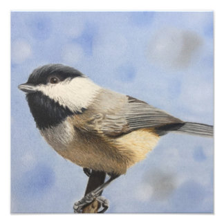 Chickadee dee dee foto afdruk