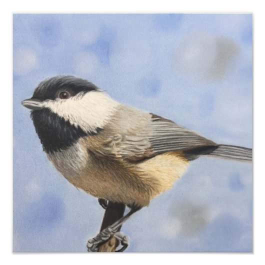 Chickadee dee dee foto afdruk (Voorkant)