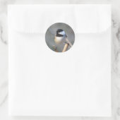 Chickadee Envelope Sticker (Tas)