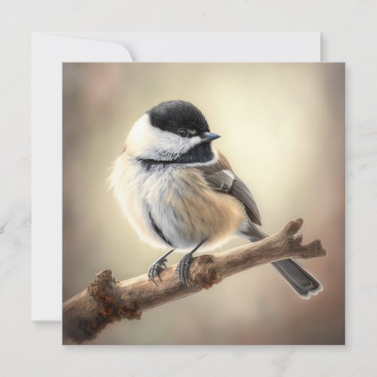 Chickadee Flat Card (Voorkant)