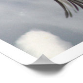 Chickadee Flying Print (Hoek)