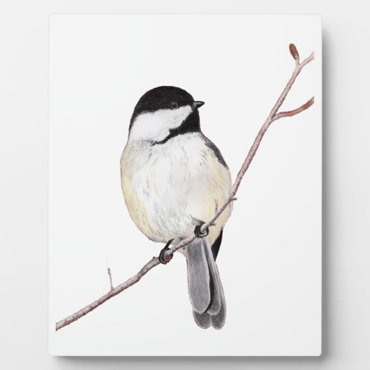 Chickadee Fotoplaat (Voorkant)