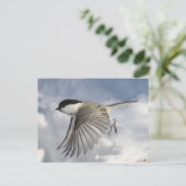 Chickadee in Flight Briefkaart (Staand voorkant)