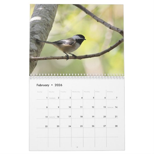 Chickadee Kalender (Feb 2026)