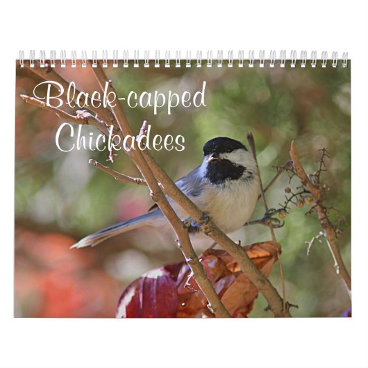 Chickadee Kalender (Hoes)
