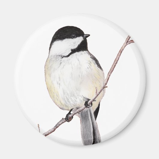 Chickadee Magneet (Voorkant)