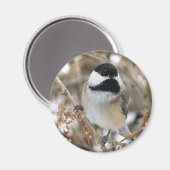 Chickadee Magnet Magneet (Voorkant / Achterkant)