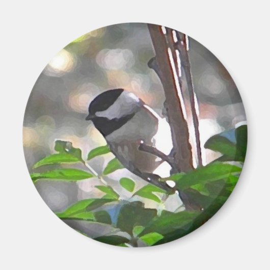 Chickadee Magnet Magneet (Voorkant)