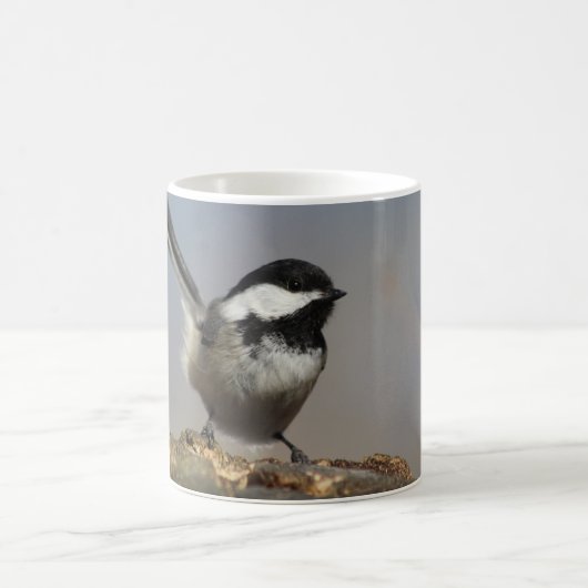 Chickadee mok (Center)