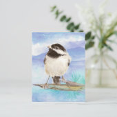 Chickadee, Oiseau, Faune, Nature, Carte postale (Debout devant)