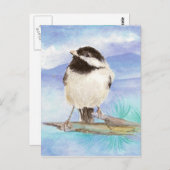 Chickadee, Oiseau, Faune, Nature, Carte postale (Devant / Derrière)